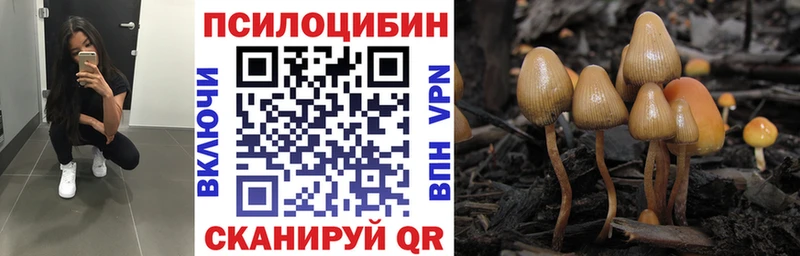 сайты даркнета наркотические препараты кракен ТОР Галлюциногенные грибы Magic Shrooms Серпухов хочу